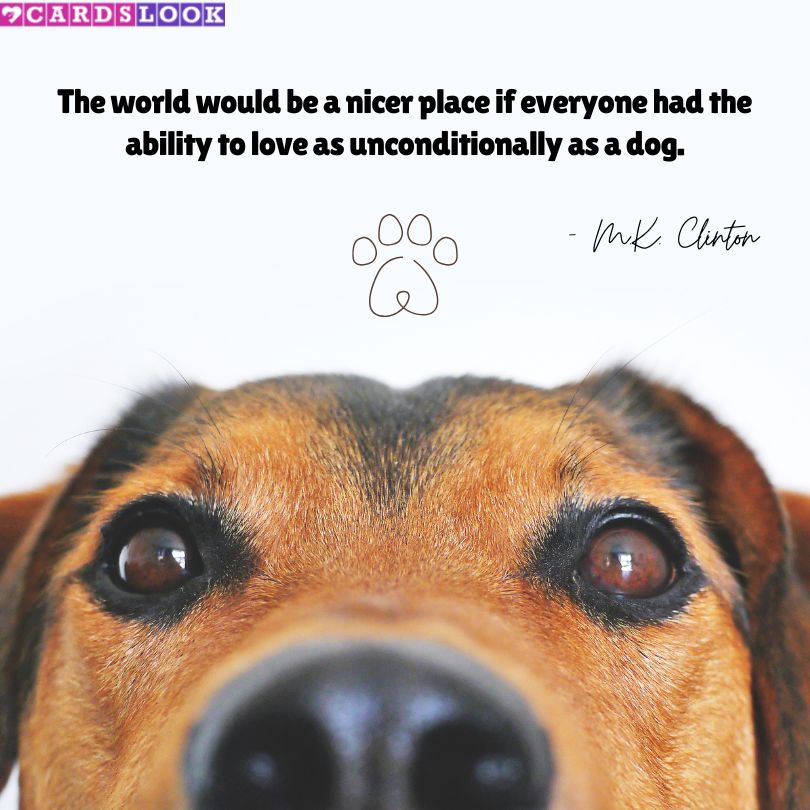 “The world would be a nicer place if everyone had the ability to love as unconditionally as a dog.” – M.K. Clinton
