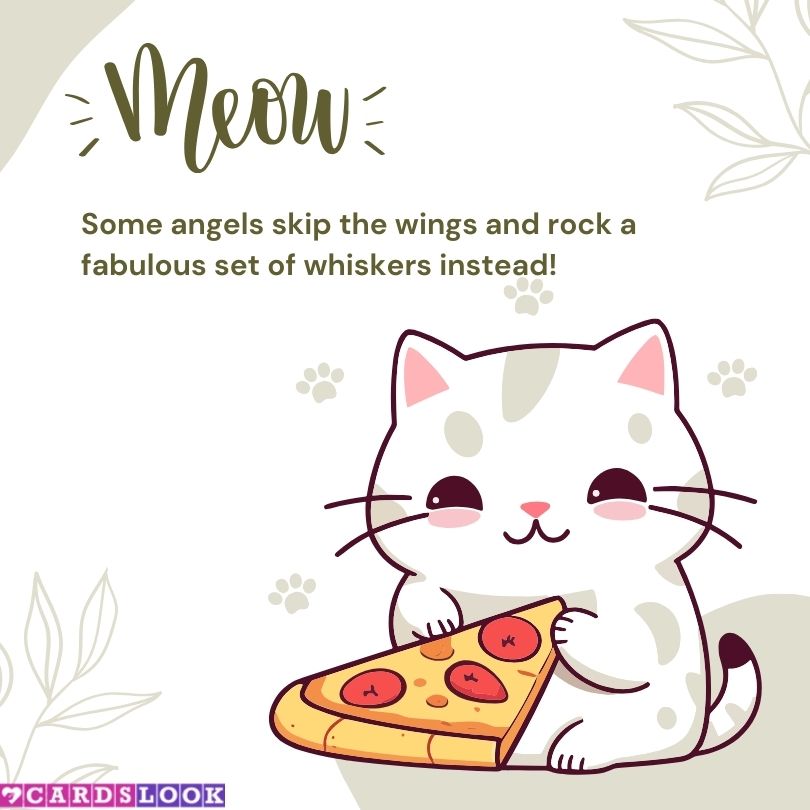 “Some angels don’t have wings—they have whiskers.” – Unknown
