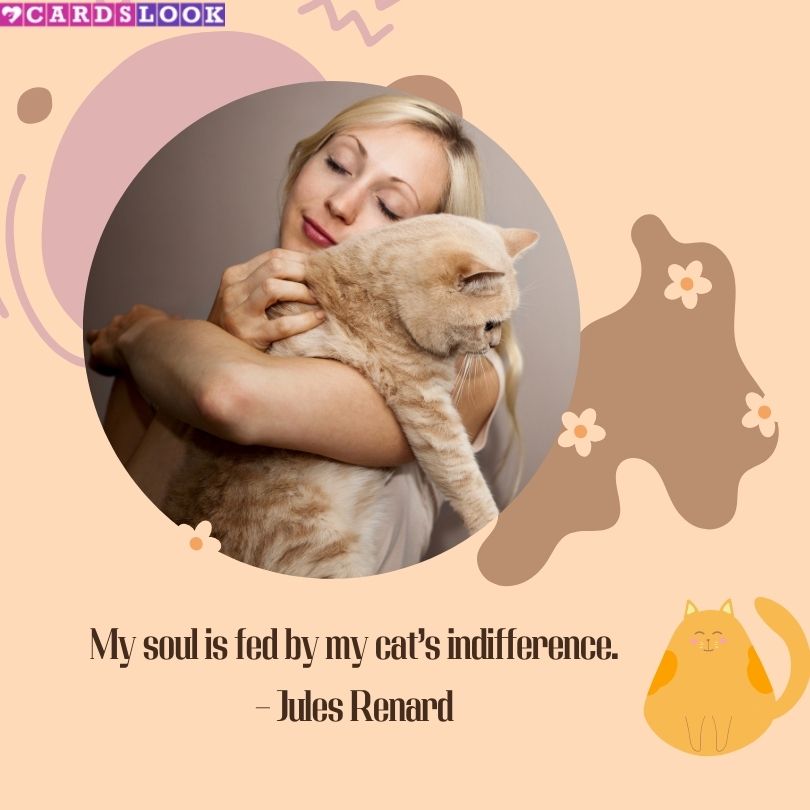 “My soul is fed by my cat’s indifference.” – Jules Renard