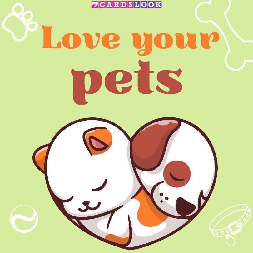 10 Heartwarming Pet Love Quotes for Animal Lovers: Celebrate Your Furry Friends