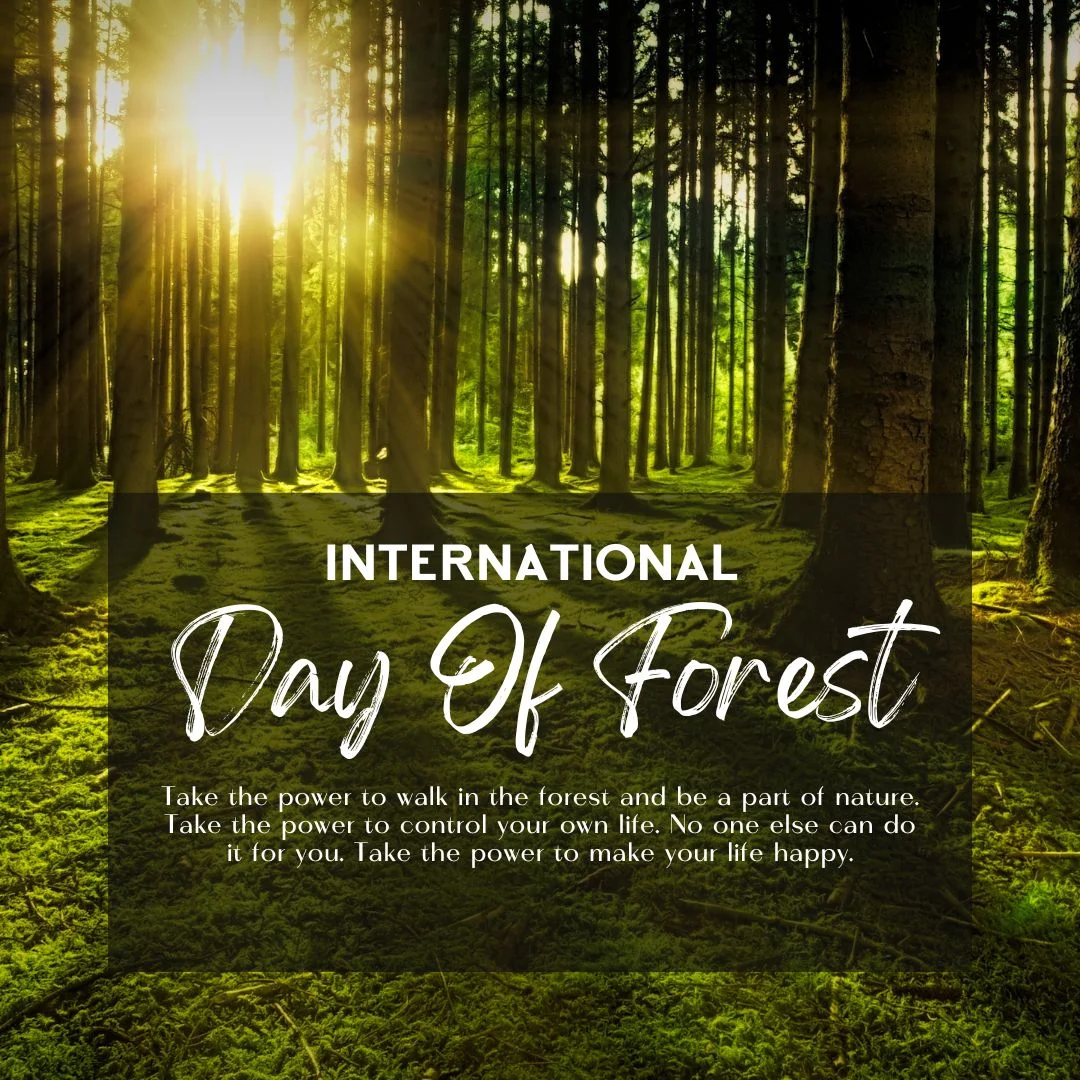 International Day of Forests: Heartfelt Tree-Hugging Quotes & Captions - CardsLook.com